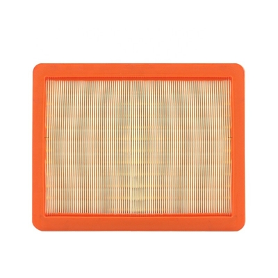 Filtre à air pour Nissan 2008-Réduire les impuretés fonction 2008- OE 6546JK20B 16546JK20A